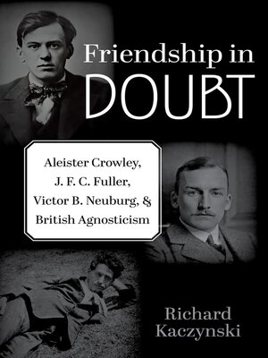 cover image of Friendship in Doubt